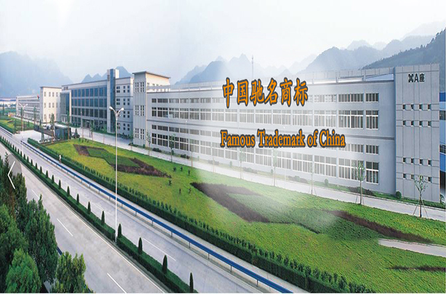 ��ʮ����,���׷�����ʲô?