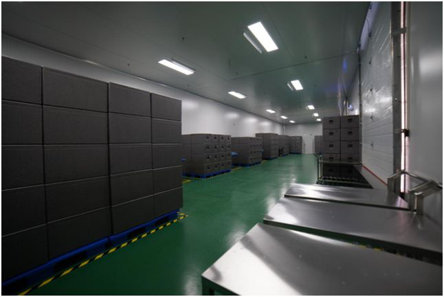 ����ͷ�����Ψһ�г��ŲͰ���-�������