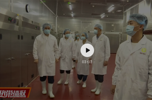 ������ɫ���