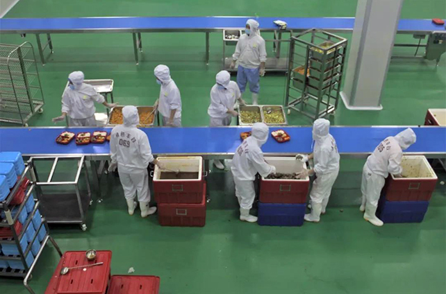 ��ɫ��Ƚྻ��װ��