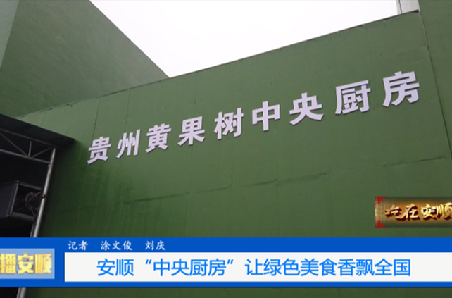 �ƹ����������