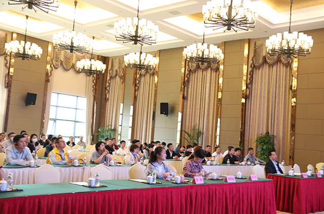 ��������������ֻ�