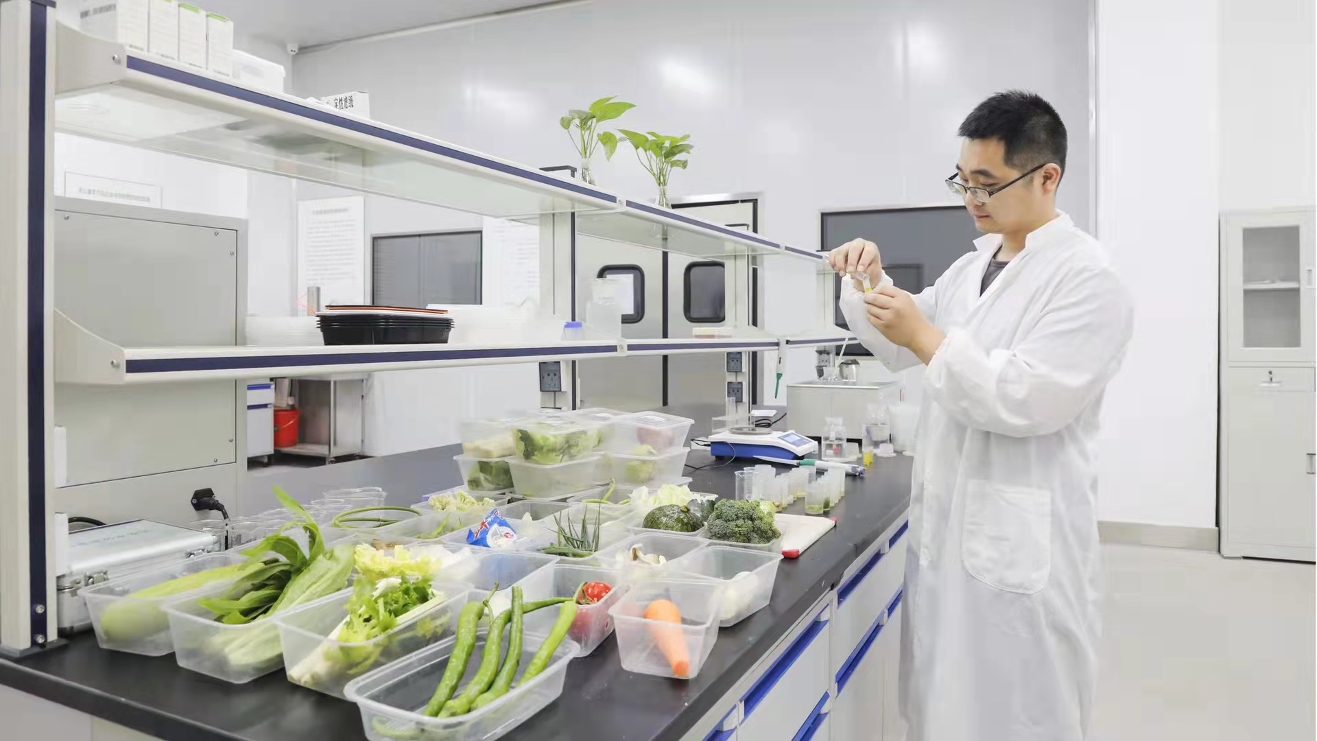 ������С�ԡ���������� �����������в͹��Ծȴ���ս