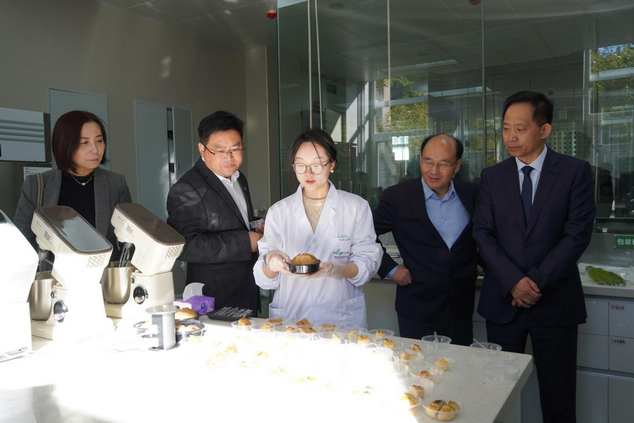 ͼƬ7 (����)