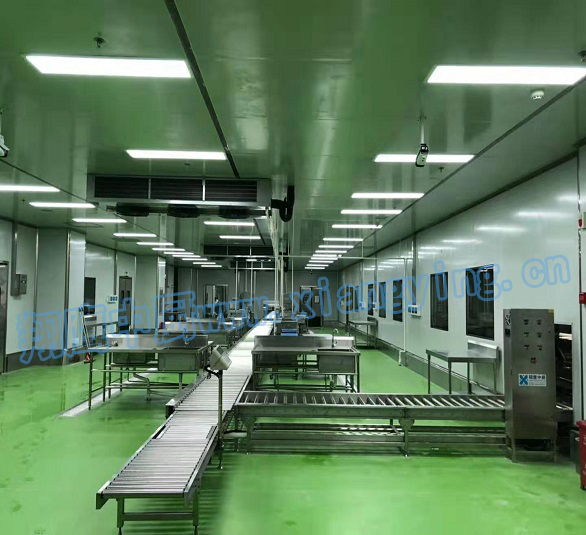 �����д����