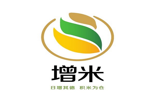 ��ݸ�����������